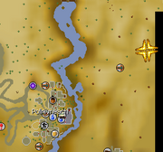 Desert lizard location