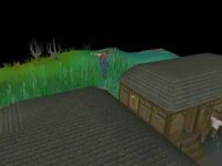 Canifis Agility Course 3