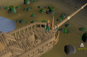 Pirate ship