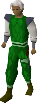 Green d'hide (t) set equipped