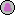 Plateskirt shop icon.png