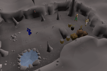Lundail’s Arena-side Rune Shop | Old School RuneScape Wiki | Fandom