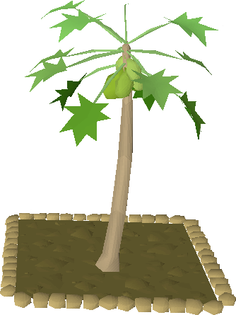 papaya tree clipart