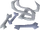 Wyvern bones
