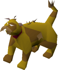 Lazy cat (brown) pet