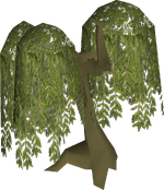 Willow tree.png