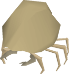 Sand Crab v1
