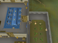 Cryptic clue - dig chicken pen in champion's guild.png