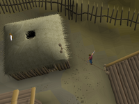 Rellekka Agility Course 3