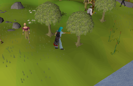 Willow tree - OSRS Wiki