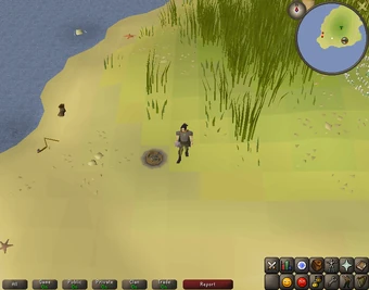 Treasure Trails Guide Emote Clues Old School Runescape Wiki Fandom