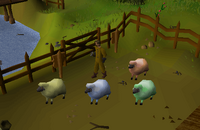 Sheep Herder - Sheep