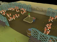 A scaregull planted around a mushroom patch.