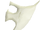 Blessed spirit shield