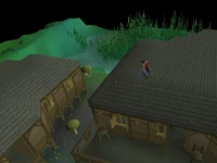 Canifis Agility Course 7