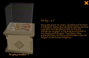 Varrock Museum display 7.png (670 KB) Display number 7