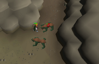 Cryptic clue - kill basilisk.png