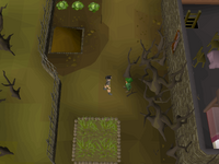 Cryptic clue - belladonna leprechaun.png