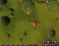 Cryptic clue - dig mushrooms.png