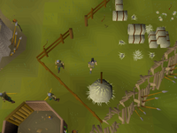Cryptic clue - search haystack ranging guild.png