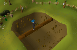 Agility course