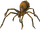 Fever spider