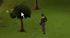 https encrypted tbn0 gstatic com images q tbn and9gcqz57zjndvswstad9dmfgo5j3x h5xwgvii3g usqp cau 2