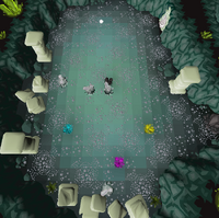 Chambers of Xeric - Crab puzzle