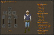 Equipment Stats interface