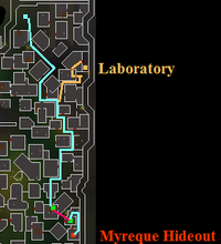 Path to the ladder.