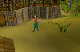 Shilo Village (location)