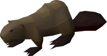Beaver | Old School RuneScape Wiki | Fandom