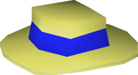 Blue boater detail