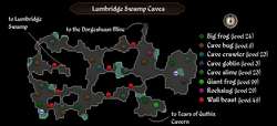 Lumbridge Swamp Caves map