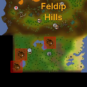 Red chinchompa location