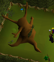 Tree Gnome Village grand tree restored.png