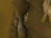 Cryptic clue - dig karamja volcano.png