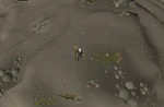 Emote clue - yawn trollheim