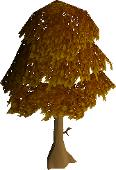 maple trees osrs