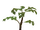 Jungle tree