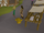 Ardougne Silver Stall.png