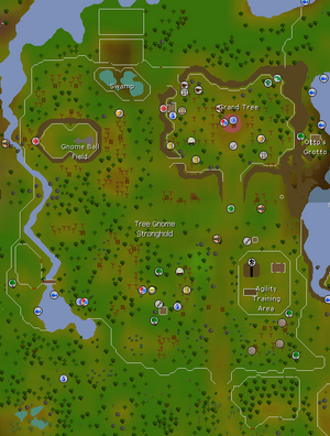 Tree Gnome Stronghold map