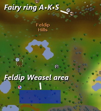 Feldip Weasel map