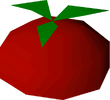 Tomato detail