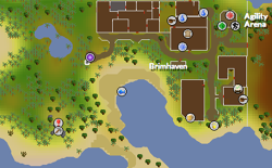 Brimhaven South Mine