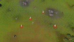 Ruby harvest catch locations.png