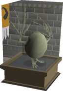 A Wyvern Egg