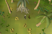 Cryptic clue - speak saniboch.png