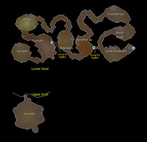 Fremennik Slayer Dungeon map