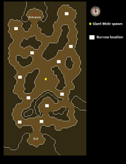 Falador Mole Lair map